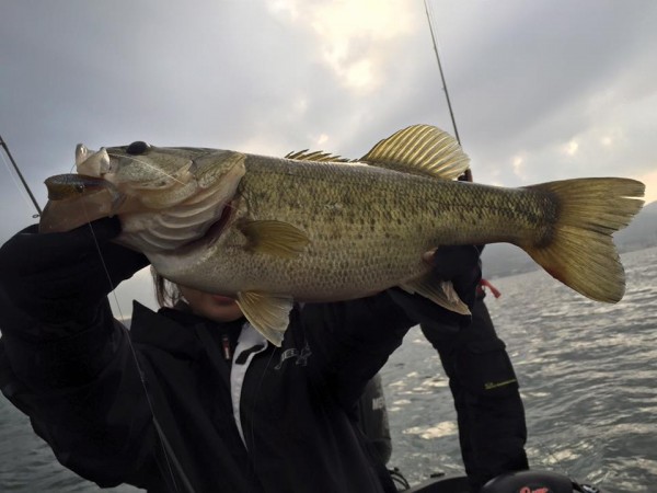 hideup 永野総一朗 ブログ写真 2016/05/09