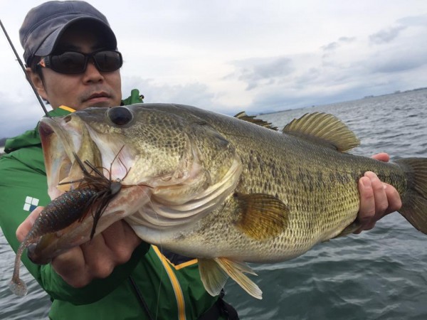 hideup 永野総一朗 ブログ写真 2017/04/09