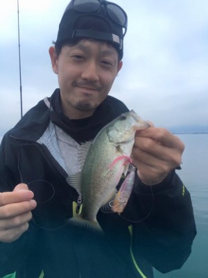 hideup 豌ｸ驥守ｷ丈ｸ譛� 繝悶Ο繧ｰ蜀咏悄 2016/06/20