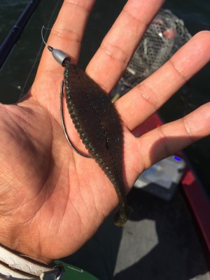 hideup 豌ｸ驥守ｷ丈ｸ譛� 繝悶Ο繧ｰ蜀咏悄 2015/08/24