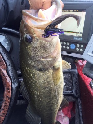 hideup 永野総一朗 ブログ写真 2015/11/18