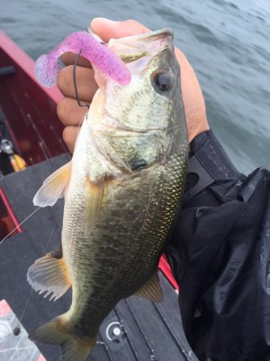 hideup 永野総一朗 ブログ写真 2015/09/24