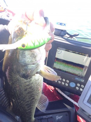 hideup 永野総一朗 ブログ写真 2014/11/04