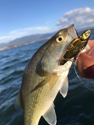 hideup 永野総一朗 ブログ写真 2017/12/02