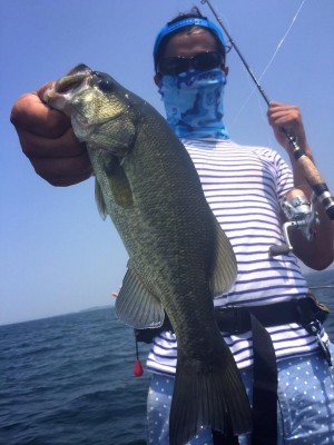 hideup 永野総一朗 ブログ写真 2015/08/01