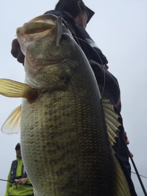 hideup 永野総一朗 ブログ写真 2017/04/08