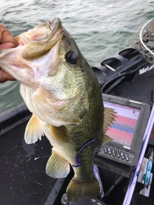 hideup 永野総一朗 ブログ写真 2017/08/14