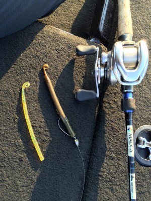 hideup 永野総一朗 ブログ写真 2016/03/28