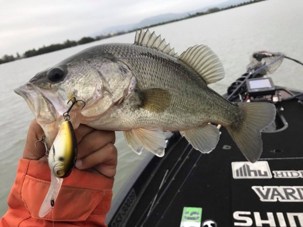 hideup 永野総一朗 ブログ写真 2017/10/24