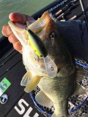 hideup 永野総一朗 ブログ写真 2017/10/26