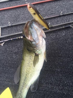 hideup 永野総一朗 ブログ写真 2015/09/01