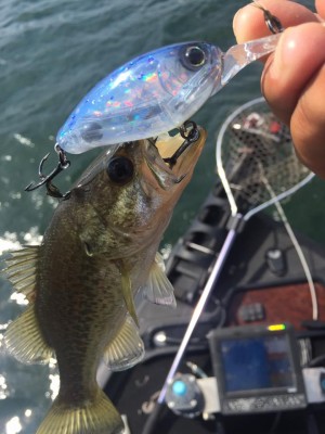 hideup 永野総一朗 ブログ写真 2016/10/06