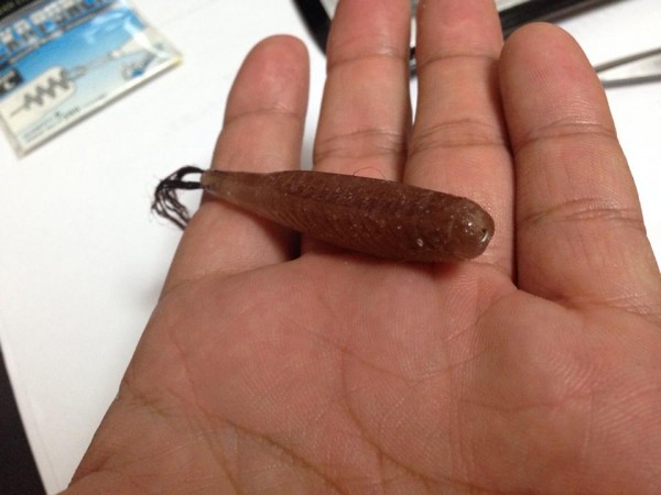 hideup 永野総一朗 ブログ写真 2014/09/14