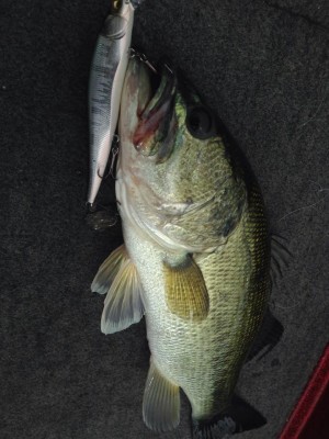 hideup 永野総一朗 ブログ写真 2015/06/02