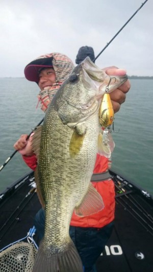 hideup 永野総一朗 ブログ写真 2017/06/07