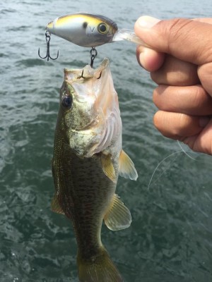 hideup 永野総一朗 ブログ写真 2015/09/19