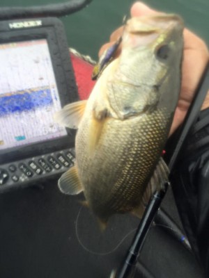 hideup 永野総一朗 ブログ写真 2015/11/08