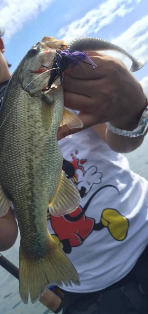 hideup 永野総一朗 ブログ写真 2015/09/18