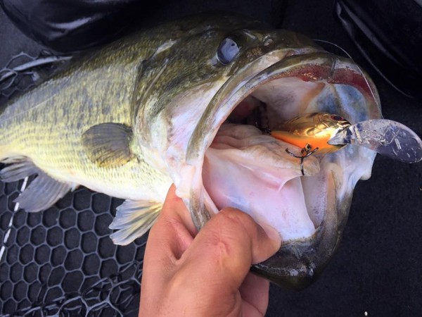 hideup 永野総一朗 ブログ写真 2016/05/09