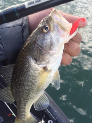 hideup 永野総一朗 ブログ写真 2017/01/21