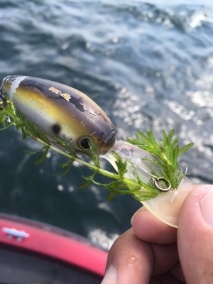 hideup 永野総一朗 ブログ写真 2015/10/08