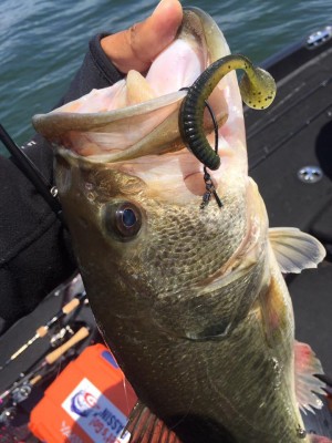 hideup 永野総一朗 ブログ写真 2017/05/06