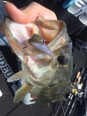 hideup 永野総一朗 ブログ写真 2017/04/22