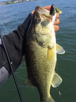 hideup 永野総一朗 ブログ写真 2017/05/06