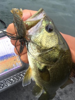 hideup 永野総一朗 ブログ写真 2015/08/20