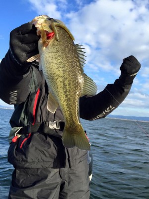 hideup 永野総一朗 ブログ写真 2016/03/11