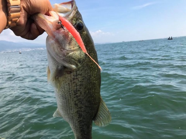 hideup 永野総一朗 ブログ写真 2017/07/08