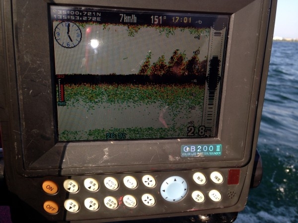 hideup 豌ｸ驥守ｷ丈ｸ譛� 繝悶Ο繧ｰ蜀咏悄 2014/07/17