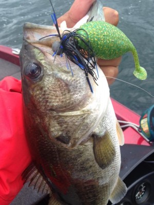 hideup 永野総一朗 ブログ写真 2015/06/19