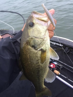 hideup 永野総一朗 ブログ写真 2016/10/03