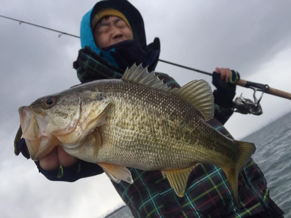 hideup 永野総一朗 ブログ写真 2017/02/21