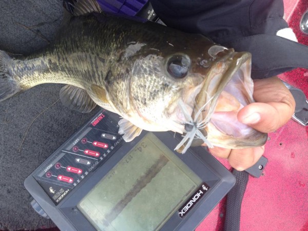 hideup 永野総一朗 ブログ写真 2014/11/20