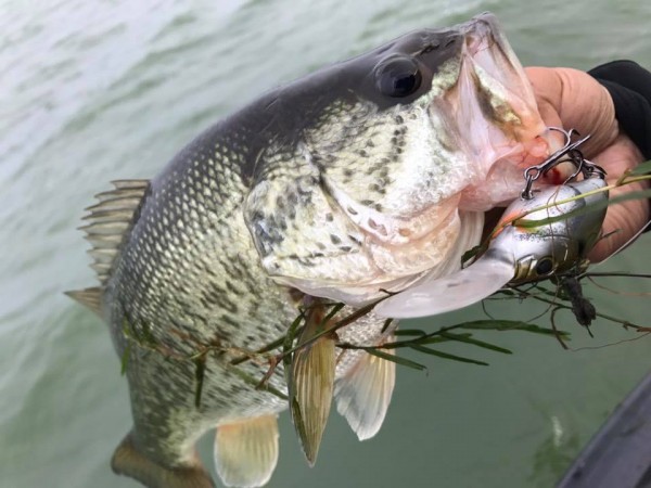 hideup 永野総一朗 ブログ写真 2017/06/18