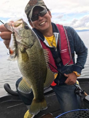 hideup 豌ｸ驥守ｷ丈ｸ譛� 繝悶Ο繧ｰ蜀咏悄 2017/10/15