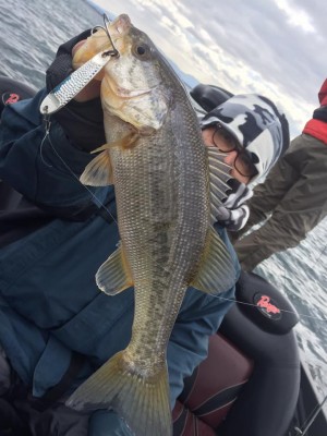 hideup 永野総一朗 ブログ写真 2017/02/15