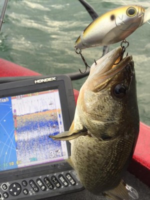 hideup 永野総一朗 ブログ写真 2015/10/05