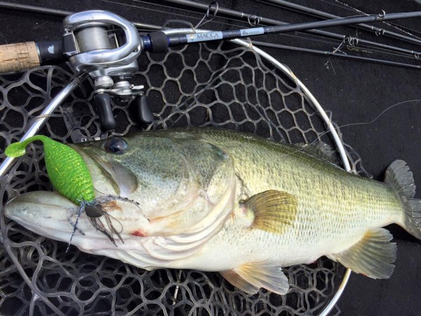 hideup 永野総一朗 ブログ写真 2016/07/01