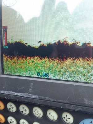 hideup 永野総一朗 ブログ写真 2015/03/03