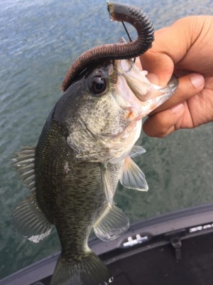 hideup 永野総一朗 ブログ写真 2016/10/19