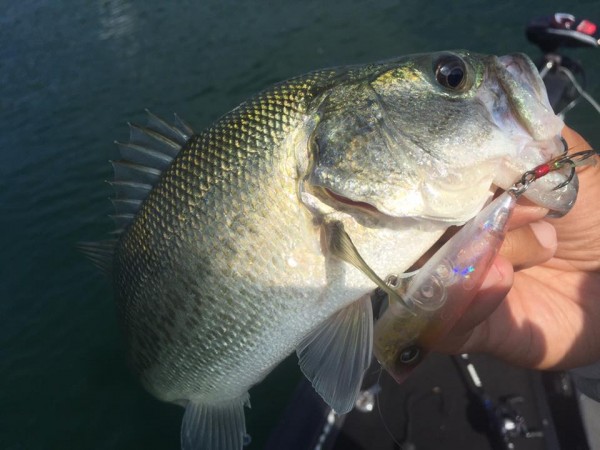 hideup 永野総一朗 ブログ写真 2016/10/19