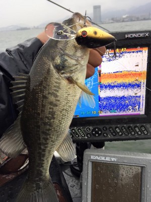 hideup 永野総一朗 ブログ写真 2016/03/10