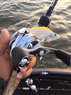 hideup 永野総一朗 ブログ写真 2016/04/17