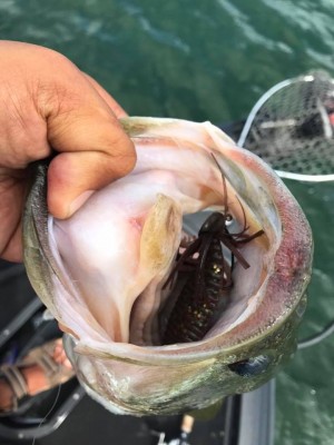 hideup 永野総一朗 ブログ写真 2017/07/21