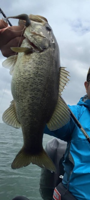 hideup 永野総一朗 ブログ写真 2016/04/03