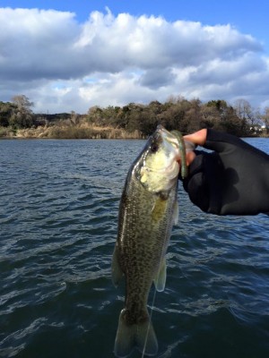 hideup 永野総一朗 ブログ写真 2016/03/11