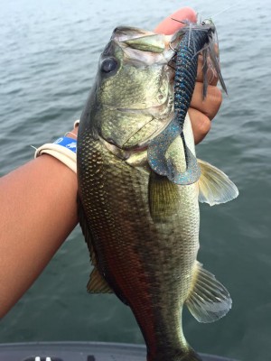 hideup 永野総一朗 ブログ写真 2016/07/25